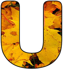Herbstbuchstabe-2-U.jpg